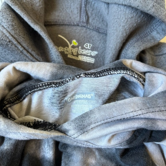 Toddler Hoodie Bundle - Picture 2 of 2